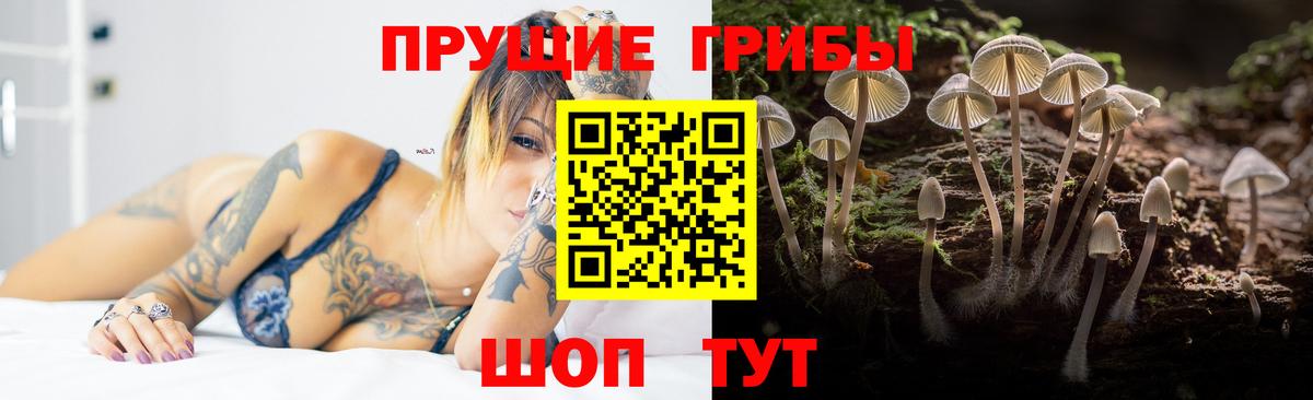 Галлюциногенные грибы ЛСД  Галлюциногенные грибы GOLDEN TEACHER  Мыски  Вход с VPN 